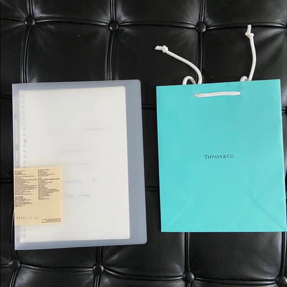 Tiffany & Co shopping Bag (Large)